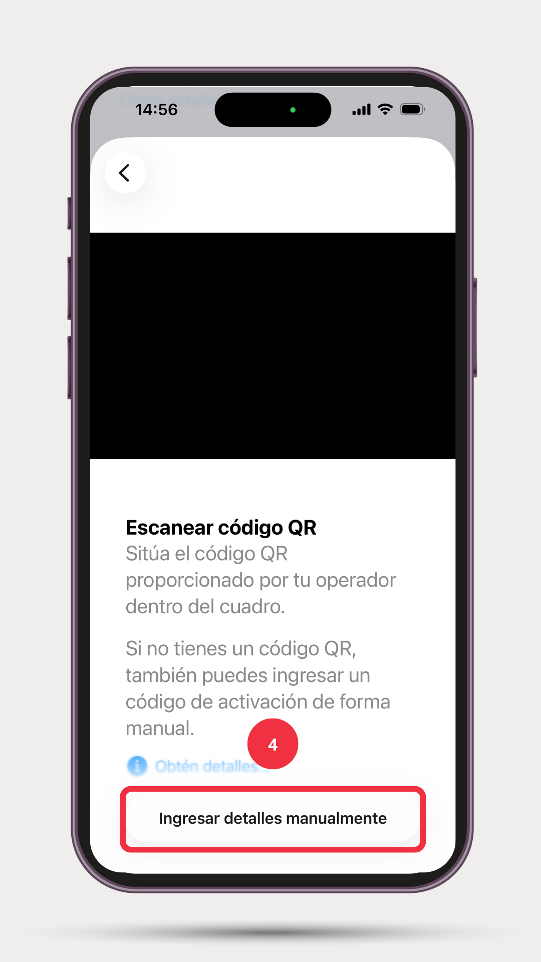 Paso 4: Selecciona "Ingresar detalles manualmente"