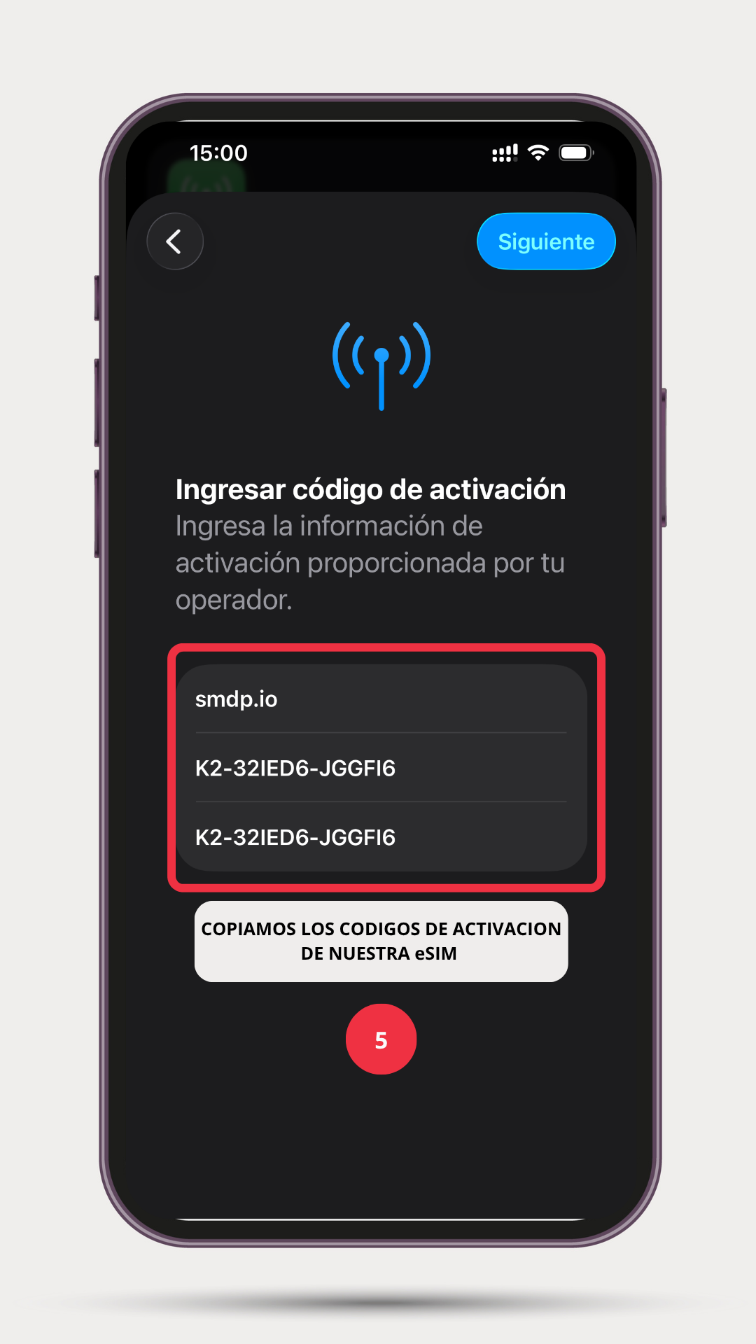 Paso 5: Ingresa el SM-DP+ y el código que te enviamos
