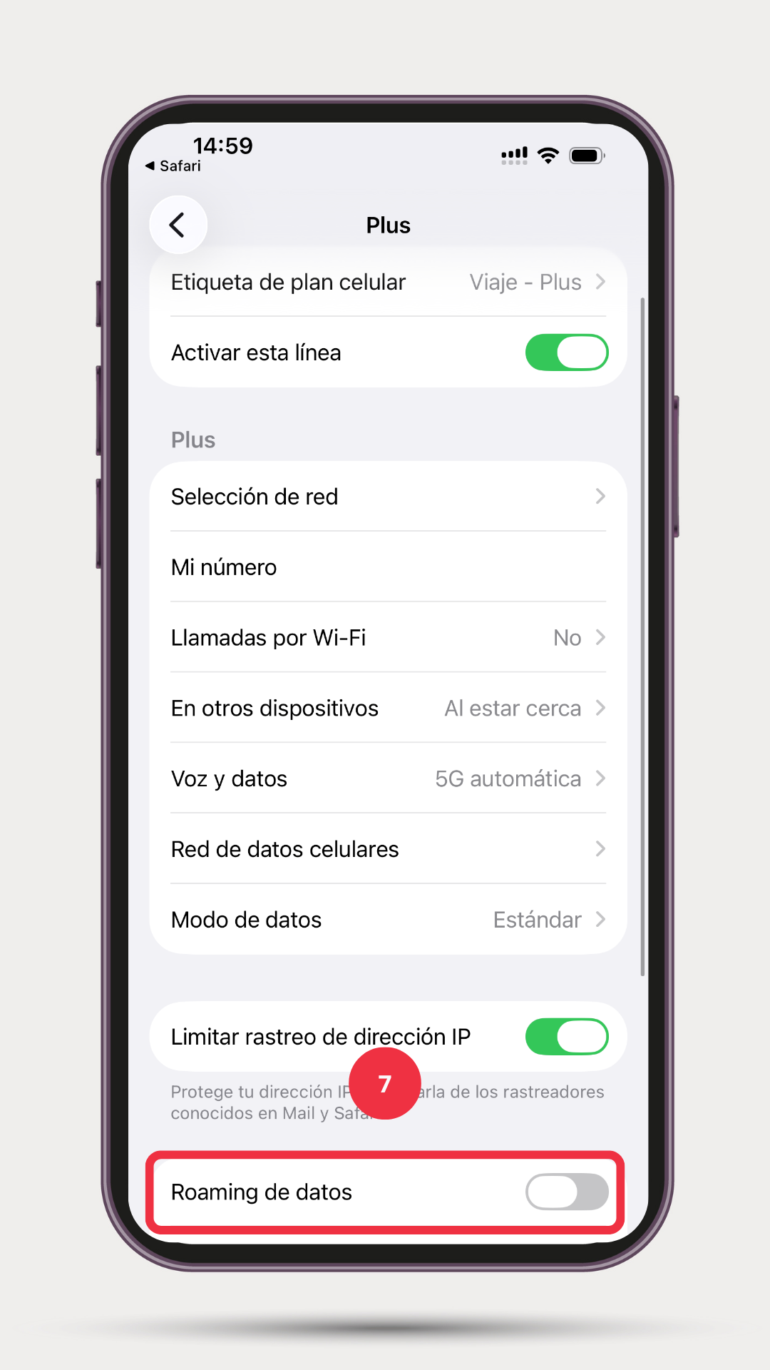 Paso 7: Entra a la eSIM instalada y activa la itinerancia de datos